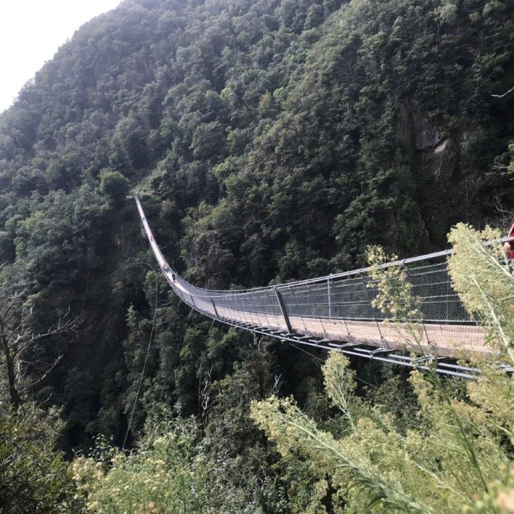 Firmweg 21-22 - Bellinzona